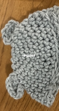 Toque 60
