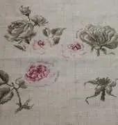 Etude a la Rose - Pierre de Ronsard