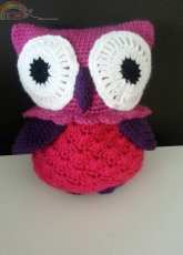 big eyed owl