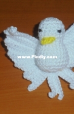 My white pigeon