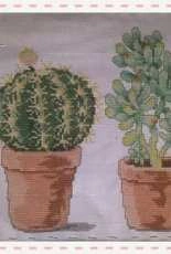 Cactus Finished