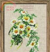 Riolis 582 PCS
