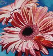 Gerberas finally FINSHED!!!