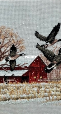 Dimensions Winter geese