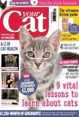 Your Cat - April 2018