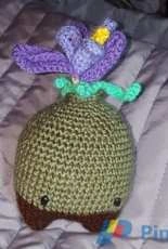 Carla the Crocus Bulb