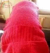 Wheelchair cozy for Moms scooter