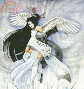HAE-AMR112 Snow & Feathers