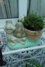 pot luck