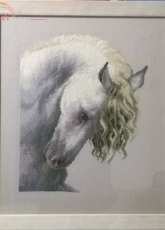 horse