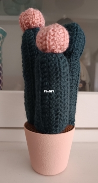 Cactus 2