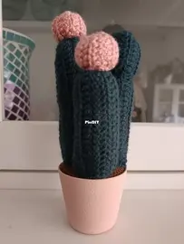 Cactus 2