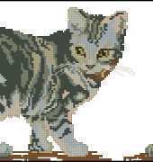 Artime Cuadros n º 4 Cats