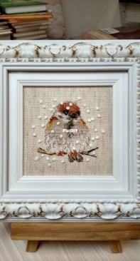Riolis - Sparrow