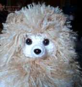 Pom toilet paper holder
