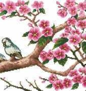 DOME 41105 - Apricot tree