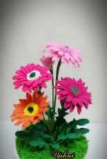 Gerbera