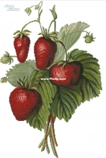 Artecy Cross Stitch - Strawberries Painting