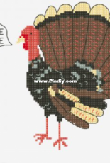 DMC Turkey - Free
