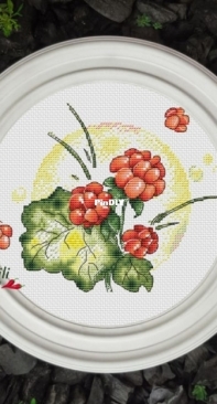 Chili Stitch - Cloudberry by Ekaterina Perchenko