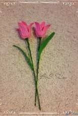 Two tulip