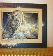 Dimensions 35108 White Lightning