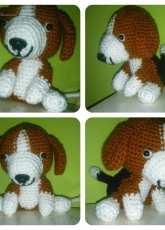 Beagle puppy