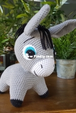 Cute Little Donkey