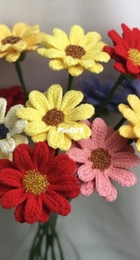 Natagor Finlayson - Gerbera Daisy - English
