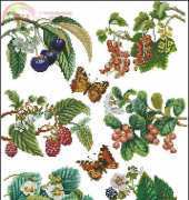 Thea Gouverneur 3021 Fruit Panel