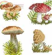 8 Mushrooms