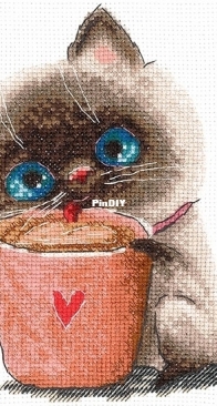 Andriana SSR K-64 Coffee Lovers. Cat