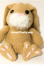 Kittys Schatzkiste - Camilla Rabbit - German