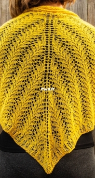 Wheat Field Lace Shawl by Carla Shorter-Free