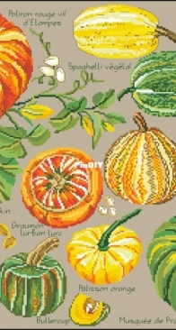 Ouvrages Broderie 66_sep2005 - Citrouilles & Cie Sampler  XSD+PCS