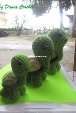 Tartarughe da terra