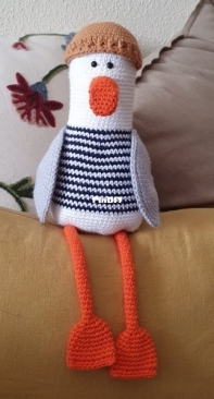 A new seagull