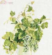 Fujico 606 - Green Grapes