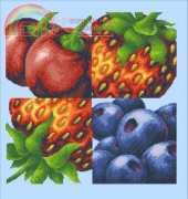 DMC-K4317 FruitCushion