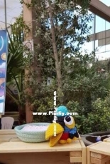 Tommy the toucan