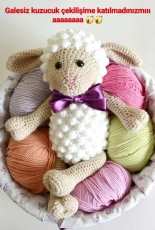 Sheep