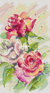 Pink Rose Etude by Anyuta Korolek / Anna Korolkova SAGA