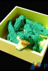 Baby Gators