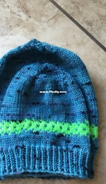 Pixelhatted by Shelby Hamden-Free