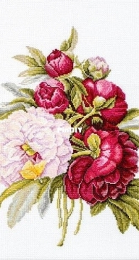 Luca-S B2354 Bouquet of peonies XSD