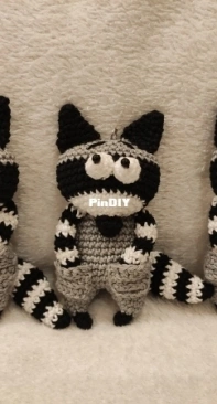 raccoons