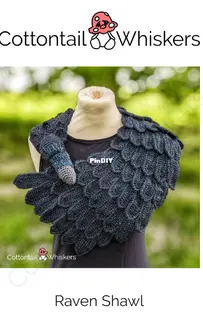 Cottontail and Whiskers - Bea King - Raven Shawl