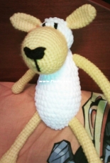 sheep