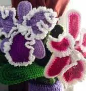 Iin Wibisono - Cattleya Orchid - Free