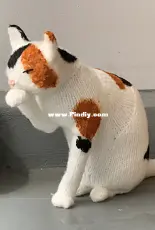 The Scullery Cat - Sara Elizabeth Kellner - Rabbit Hole Knits